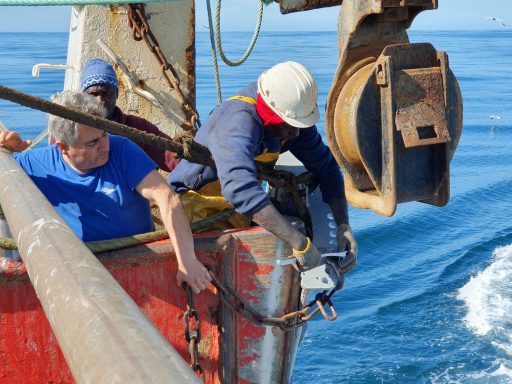 Trawl Motion autotrawl Mori Carlo puertas voladoras Sea Hawk